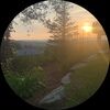 sunapeesummer